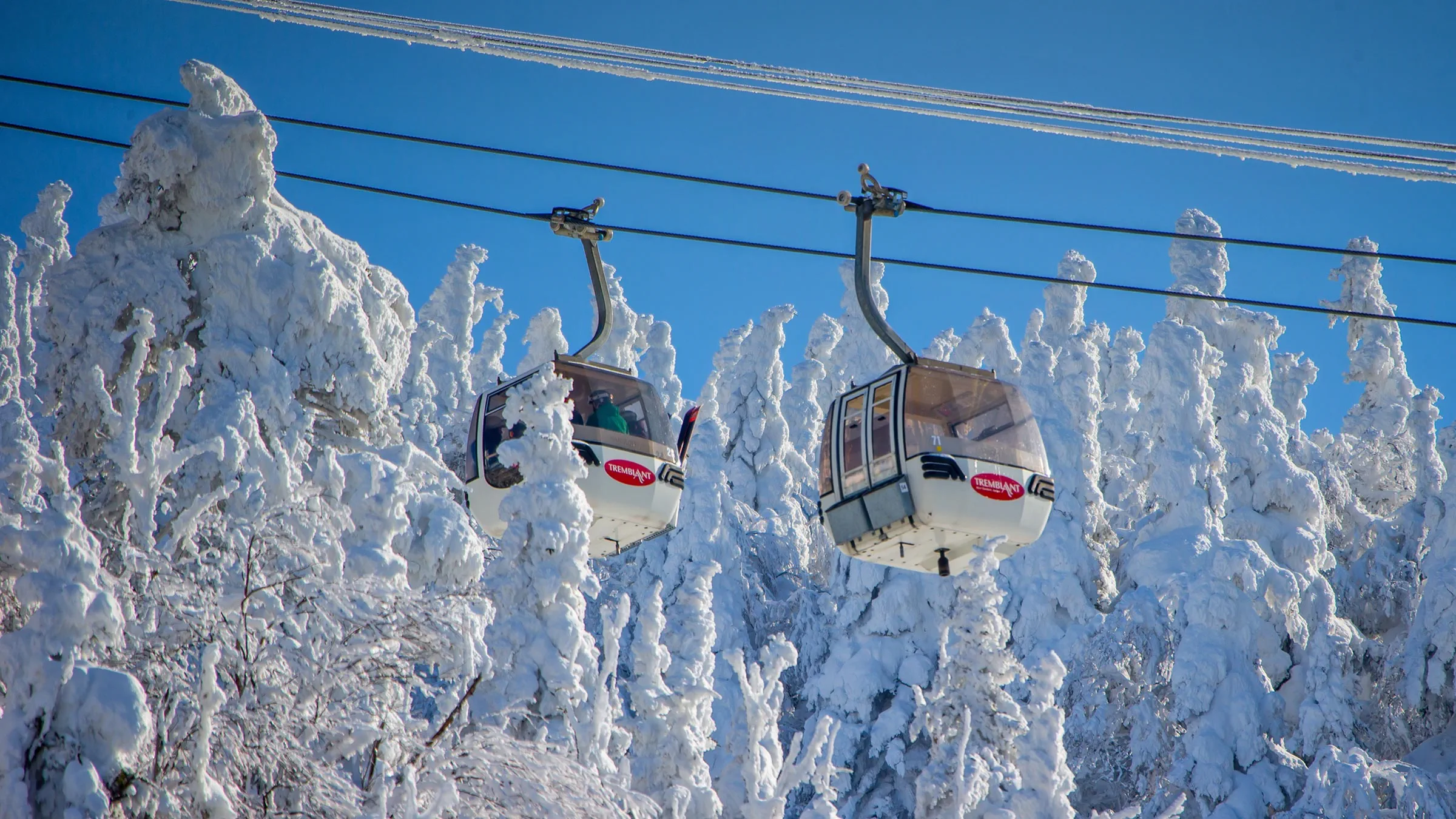 Gondola Tickets (Gulmarg)